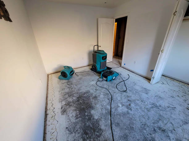 Best Water damage restoration cost  in Enochville, NC