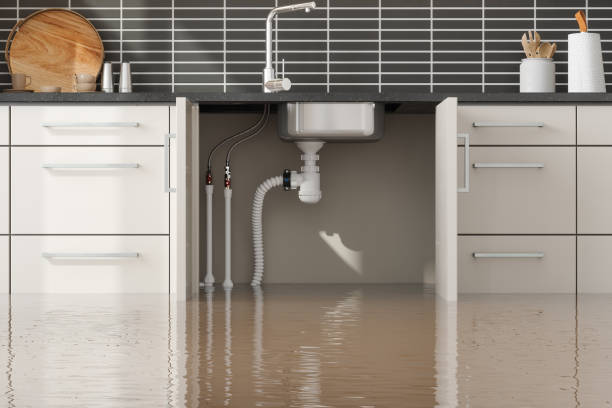 Best Water damage restoration insurance claims  in Enochville, NC